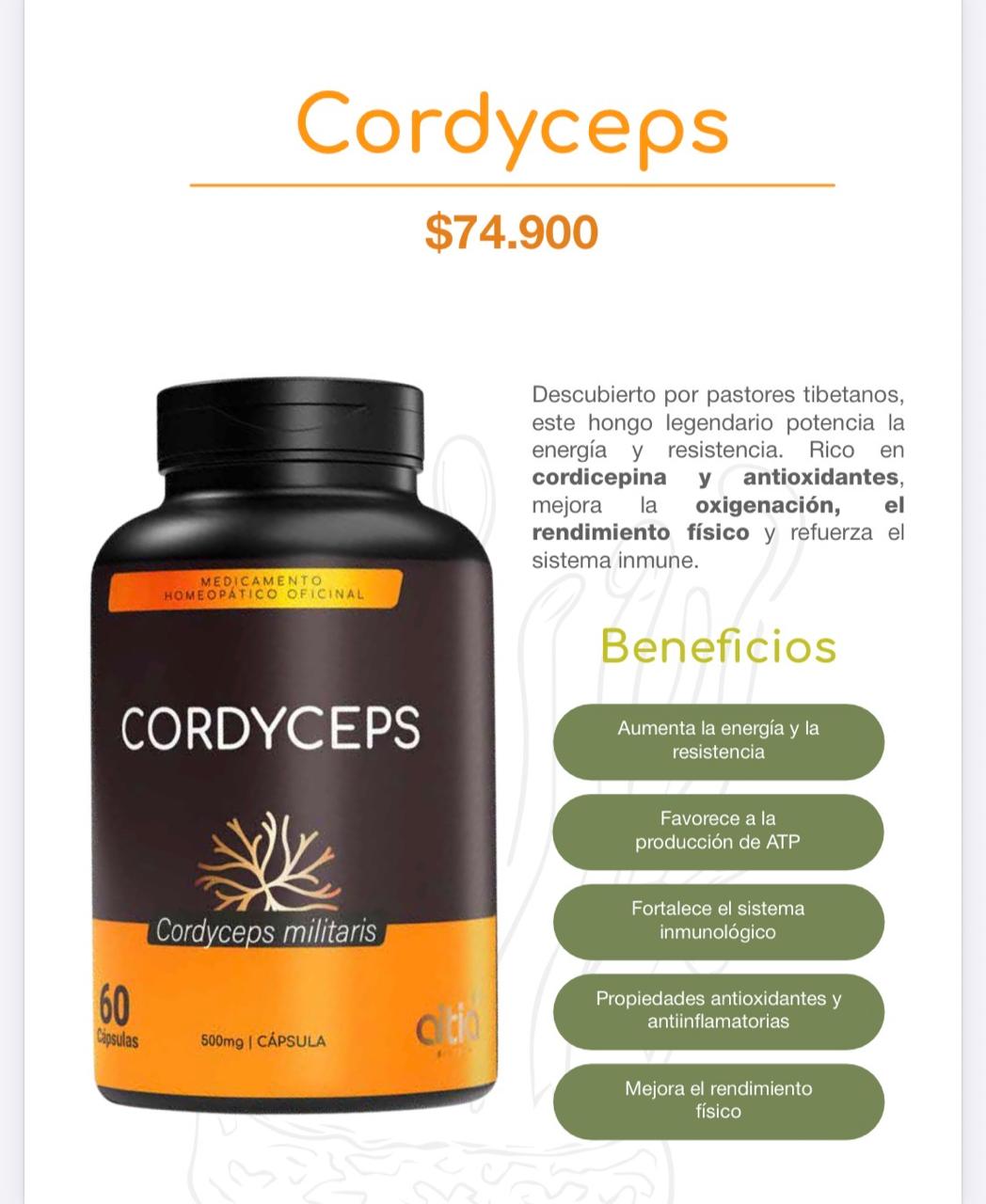 🍄 Cápsulas de Cordyceps – Extracto del Hongo Cordyceps