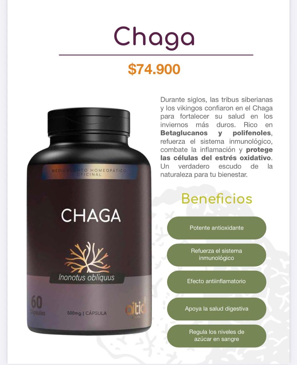 🍄 Chaga en Cápsulas