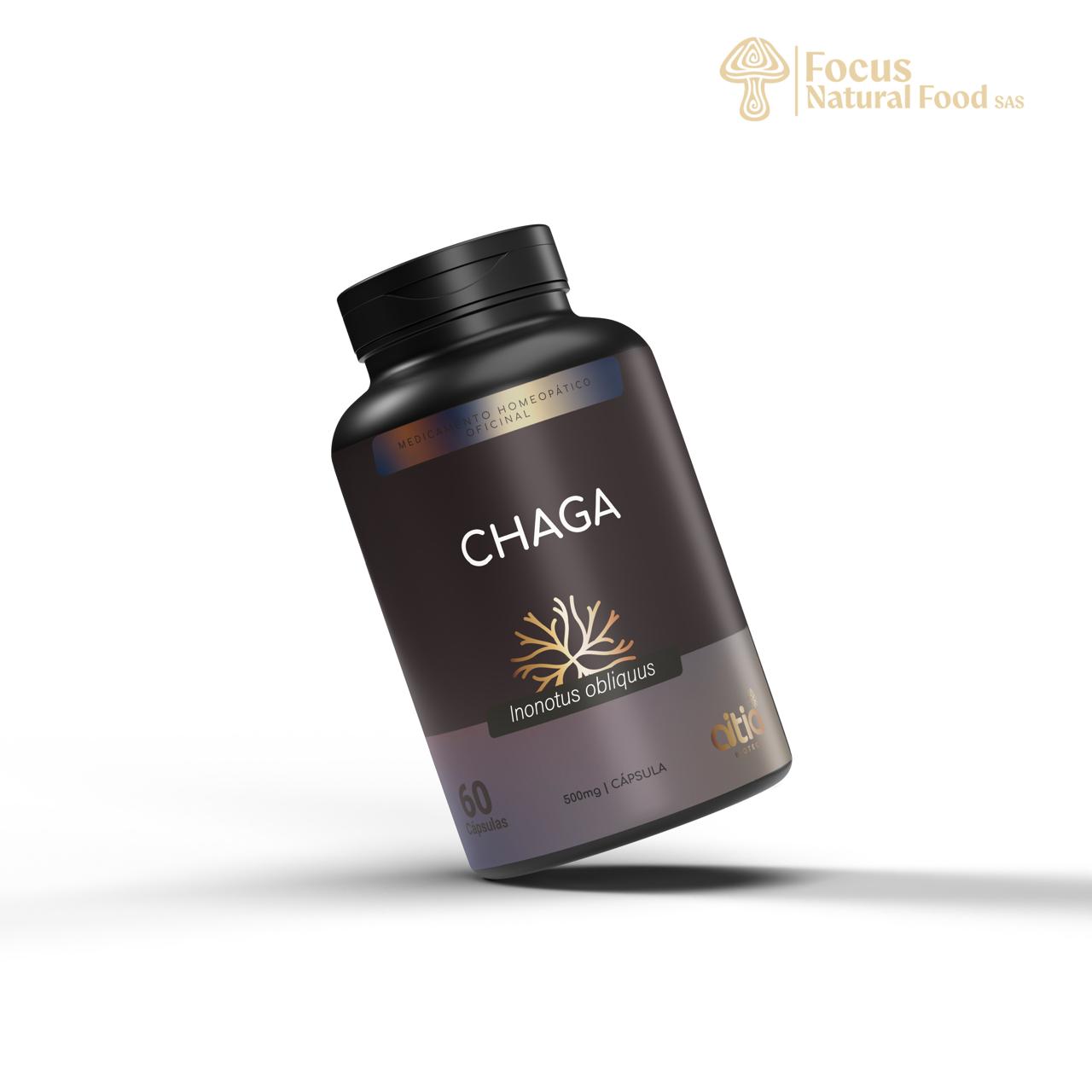 🍄 Chaga en Cápsulas
